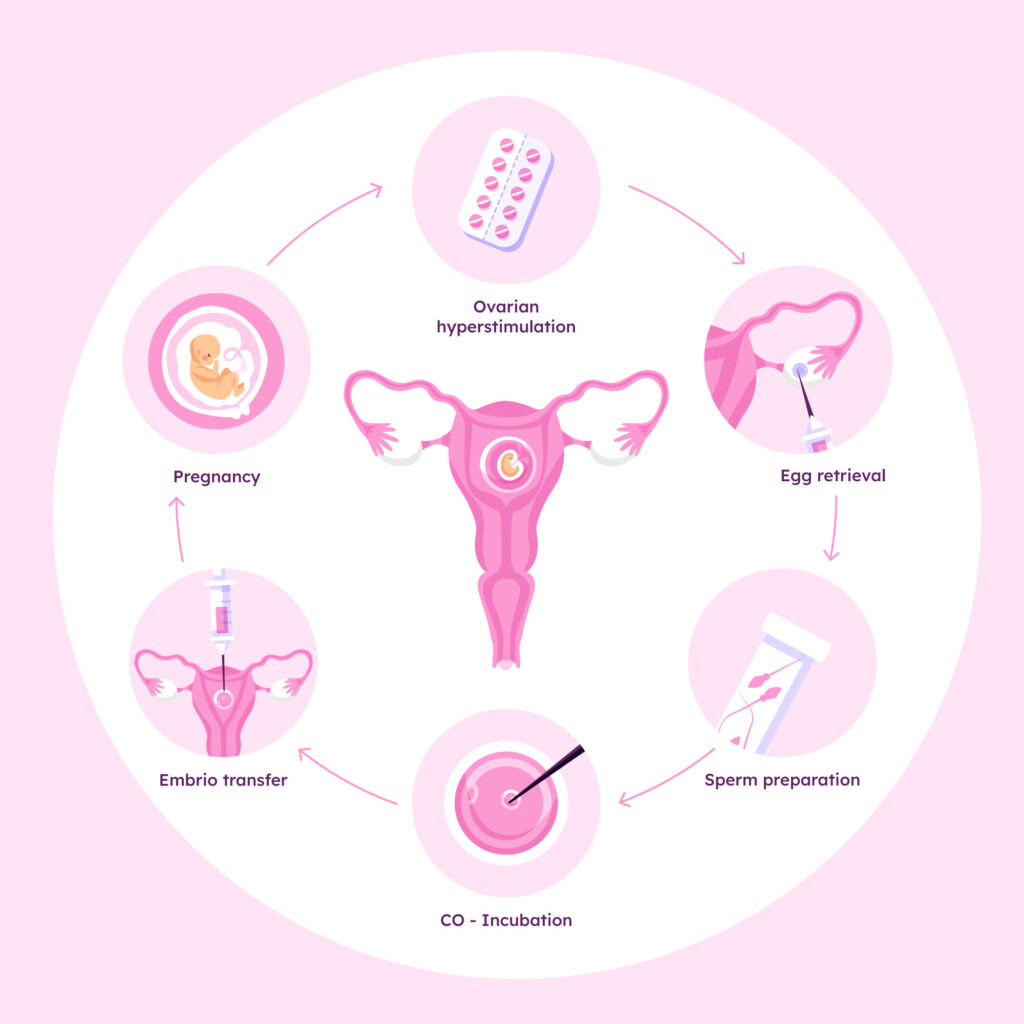 Frozen Embryo Transfer (FET)